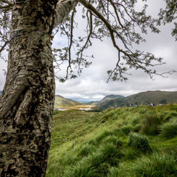 Irland