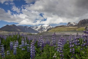 IMG_9158