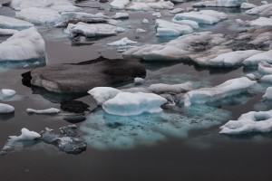 IMG_9503