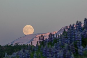 Mond_Egilsstadir_(Island)